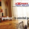 Expert Pest Solutions