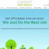Expert Tree Service