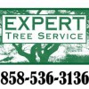 Expert Tree Service
