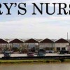 Faery's Nursery & Landscaping