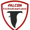 Falcon Professional Lawn Service