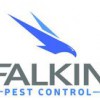 Falkin Pest Control