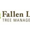 Fallen Leaf Tree Management