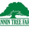 Fannin Tree Farms