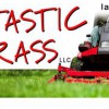 Fantastic Grass