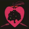 Far From The Tree Cider