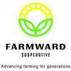 Harvest Landscaping & Lawn