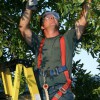 Farrel Tree Service