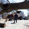 Fast Tree Removal Services Atlanta