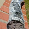 Father & Son's Dryer Vent Cleaning