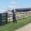 Bluegrass Fence & Barn Painting