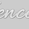 The Fence Spot