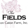 The Fields On Caton Farm