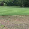 Final Touch Sod & Turf Farms