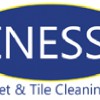 Finesse Carpet & Tile Cleaning