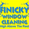 Finicky Window Cleaning
