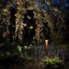 Firefly Landscape Lighting
