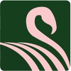 Flamingo Custom Pools
