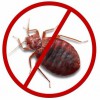 Florida Bed Bug Experts