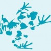 Floating Island International