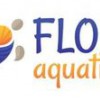 Flow Aquatics Swim School