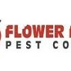 Flower Mound Pest Control