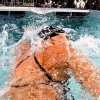 FluidSwim