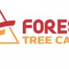 Forest Tree Care