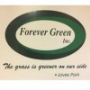 Forever Green