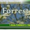 Forrest Stump Tree Service