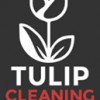 Tulip Carpet Cleaning Fort Lauderdale
