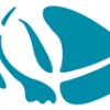 Florida