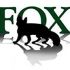 Fox Security & Communications