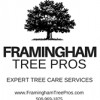 Framingham Tree Pros