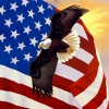 Freedom Transmission & Automotice Repair