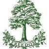 Freedom Tree Service