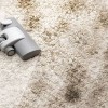Fort Collins Carpet Cleaners