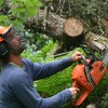 Fort Wayne Tree Services