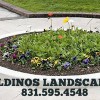 Galdinos Landscaping