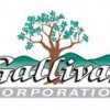 Gallivan