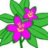Gardenkeepers Landscape & Design