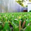 Garden Of Eden Landscaping
