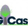 G Case Landscape Mgt