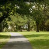 General Lawn & Tree Service