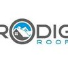 Prodigy Roofing