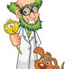 Growing Green Lawn Solutions