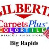 Gilbert's Carpets Plus Color Tile