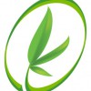 The Giving Tree Wellness Center