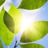 Global Heating Engineering