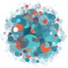 Global Network Initiative